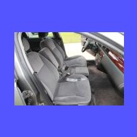 Impala2006-08_web.jpg